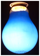 A blue bulb